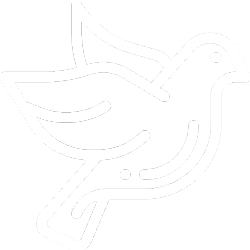 Bird - Inviora Studio